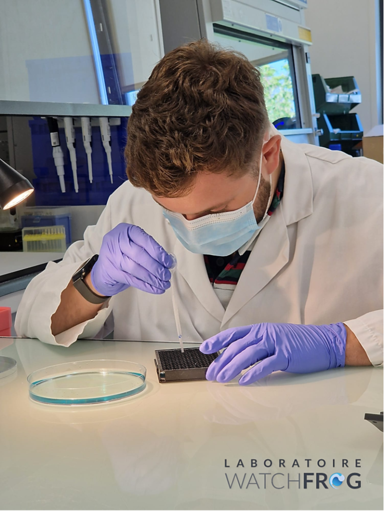 Tiago Martins Secondment at WatchFrog to Investigate the Effect of Electrowinning on Sludge Toxicity